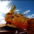 唯美壮丽西藏拉萨自然风光 民族风俗美食