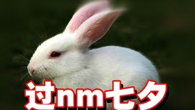 0b9673ce62c3fc9182391fdda5d5bd900406a21a.jpg@280w_158h_1c_100q.jpg