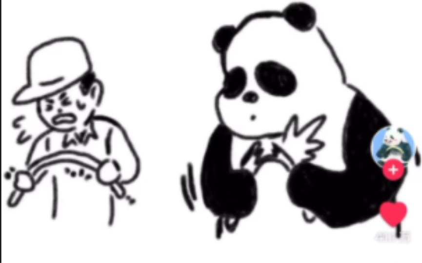 【TikTok】外网看国内大熊猫萌二的人教版掰竹子｜海外国际版抖音外国评论热议