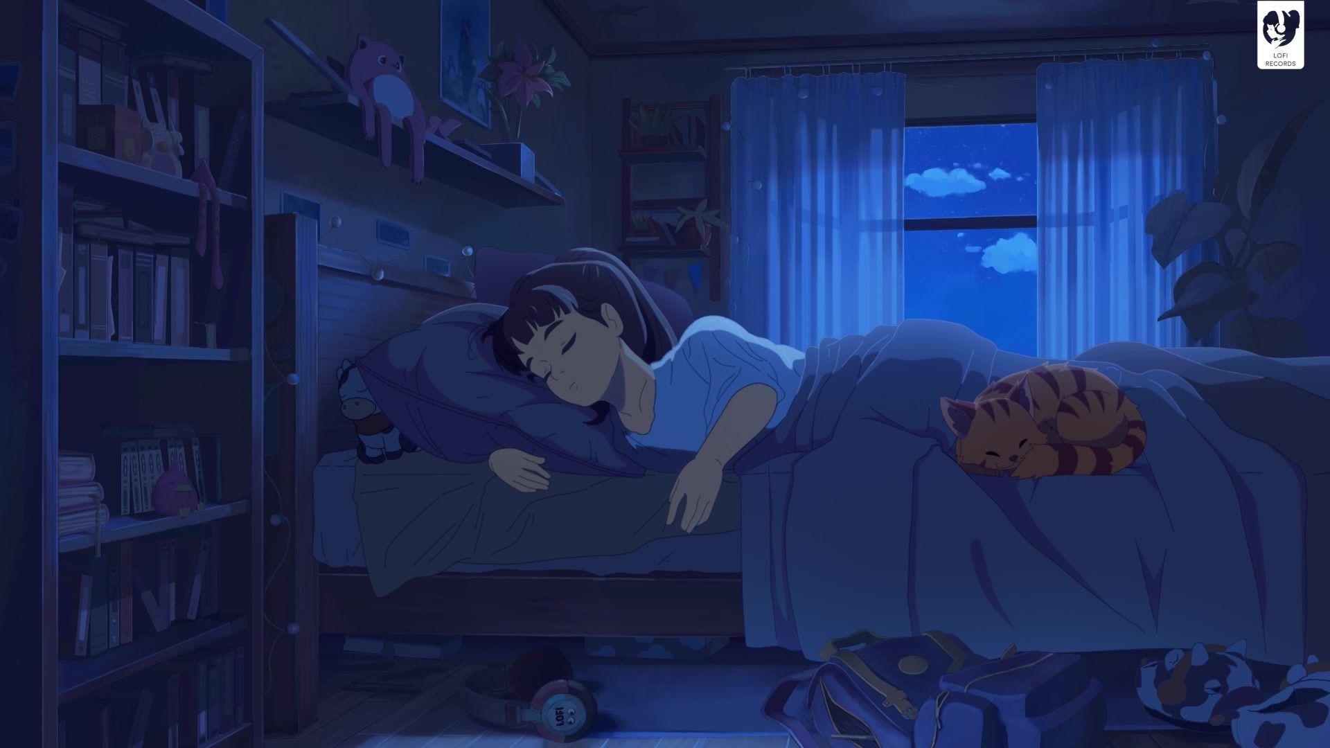 Lofi Girl | 【陪你睡觉】💤8小时睡眠歌单/放松/治愈/助眠/Bedtime Lofi