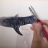 这位画家竟然录了一个视频，告诉大家小鲸鱼的味道