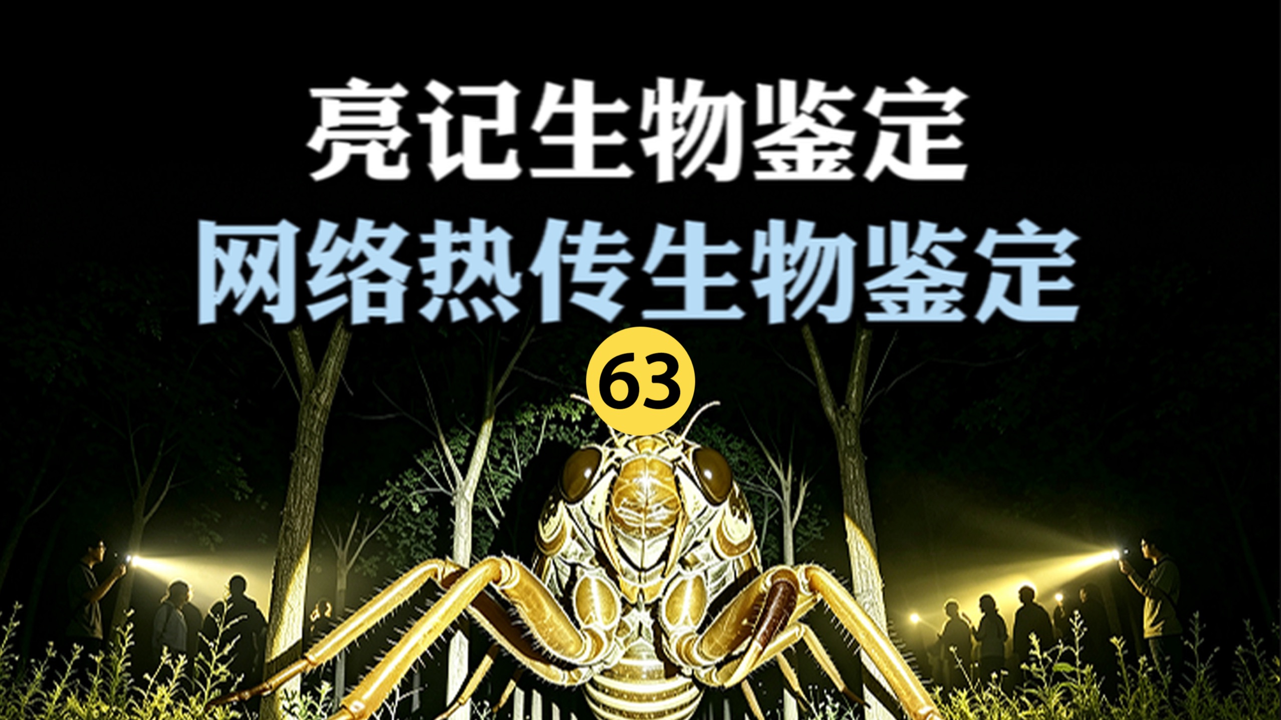 网络热传生物鉴定 第63期