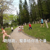 机械狗每次去公园都被小孩欺负，直到我装上了水枪