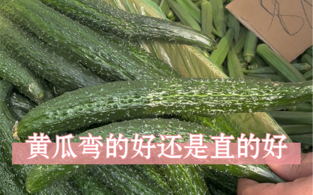 土豆哥告诉你黄瓜弯的好还是直的好。                      东北早市“挑菜哥”揭秘：早市黄瓜挑选大法！让你一次买到翠绿鲜嫩的黄瓜！黄瓜怎么挑？