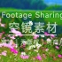 【无版权空镜】春天 油菜花 花朵 风景，CC0无版权视频素材，简介自取