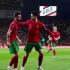 2022年卡塔尔世界杯大名单：葡萄牙队