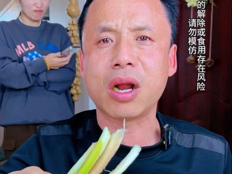 再次挑战陕北旱地红葱