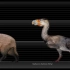 中新世以来灭绝动物与人类的尺寸对比
