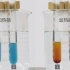 【教学实验】06淀粉酶对淀粉和蔗糖的水解作用-副本