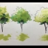 【景观手绘】树的马克笔三种上色画法！多看几遍画一画就会！