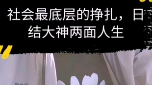 0c54a64b0b117b0c3c9889873e13dba5956c2109.jpg@310w_174h_1c_100q.jpg