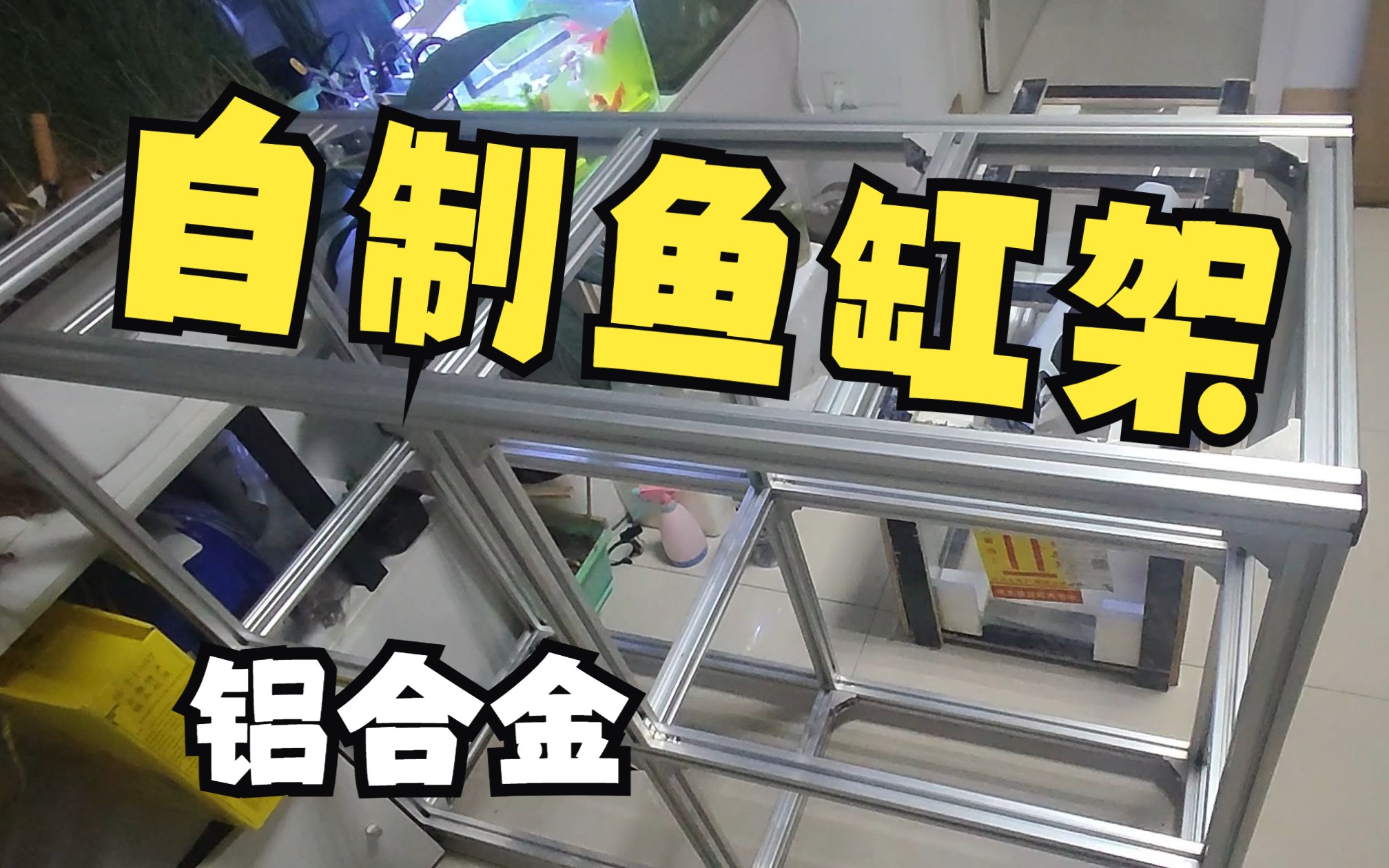 自制铝合金鱼缸架，还是挺贵的不建议大家使用，这一期实在是高花费，希望关注点赞投币。
