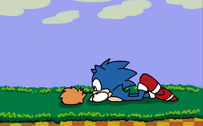 Sonic Meets a Hedgehog