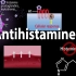Histamine and Antihistamines, Pharmacology, Animation组胺与抗组胺药