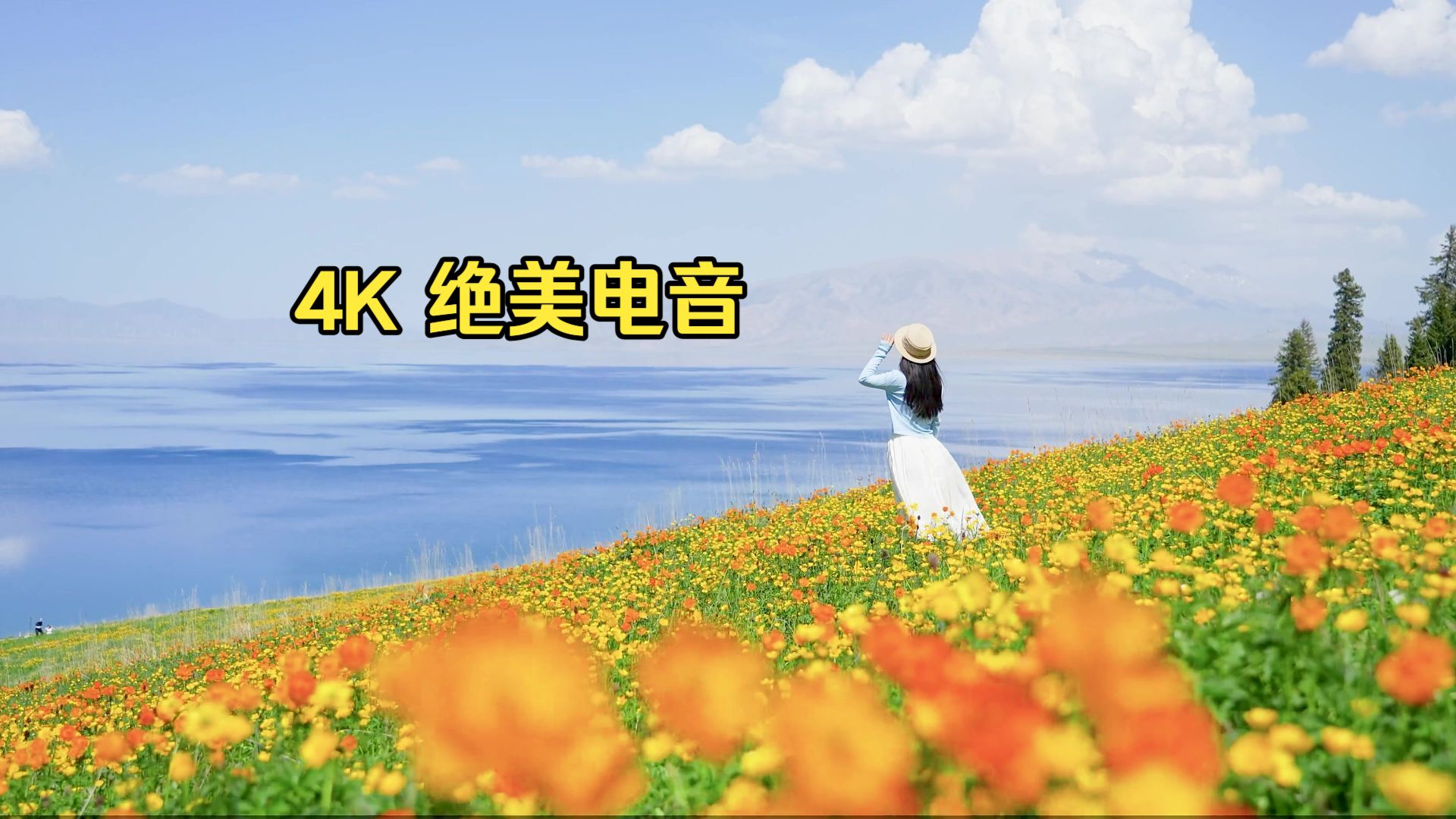 【4K超高清-绝美电音】《月光搁浅》迷觅知音车载音乐