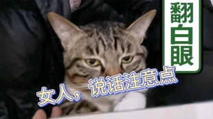 0cf5ea41a27e920813528951dd58220d121d394f.jpg@310w_174h_1c_100q.jpg