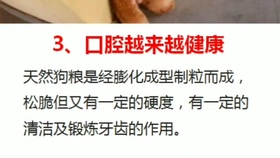 怎么护肾才是正确的方法 0cf605c0ff85256fb40dca990a850a0f12d9b88c.jpg@280w_158h_1c_100q.jpg