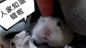 怎么样才可以快速拉尿 0cf8538cd0b801c36f0c7618391adeb491ee5bbc.jpg@280w_158h_1c_100q.jpg