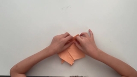 0d0625cf2d81fc1674a7e49d0128e23aad33476f.jpg@280w_158h_1c_100q.jpg