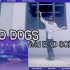【Project Sekai】RAD DOGS  | vbs 青柳冬弥位 片段速扒!×