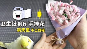 0d11ba0001f9530fbaab531c7ea0a9b08bcb0ca3.jpg@280w_158h_1c_100q.jpg