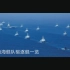 中国海军南海舰队驱逐舰一览