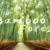 【京胡】Bamboo Forest