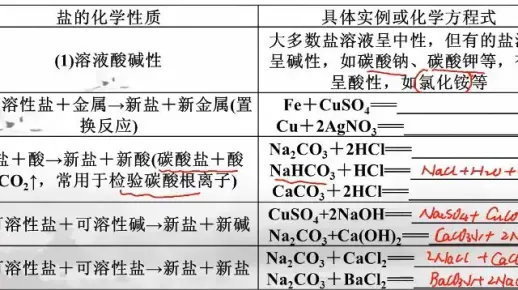 中考百天复习8.2盐的化学性质