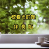 枕着光的她官方版伴奏