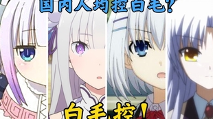 国人均白毛控(2)