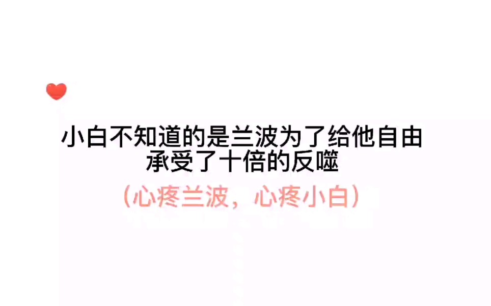 白楚年不在的这三年里兰波独自一人经历了断尾丧子之痛