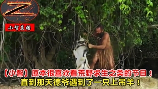 0d7aee387aa91003876d633bb28be26ed49cc1af.jpg@310w_174h_1c_100q.jpg