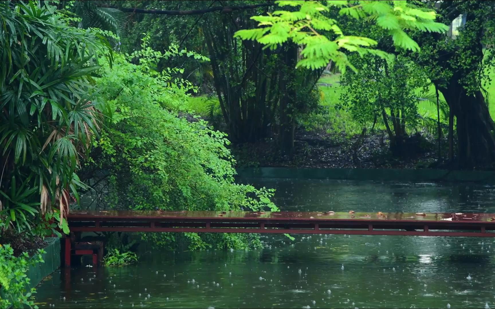 【空镜素材】又是江南烟雨时
