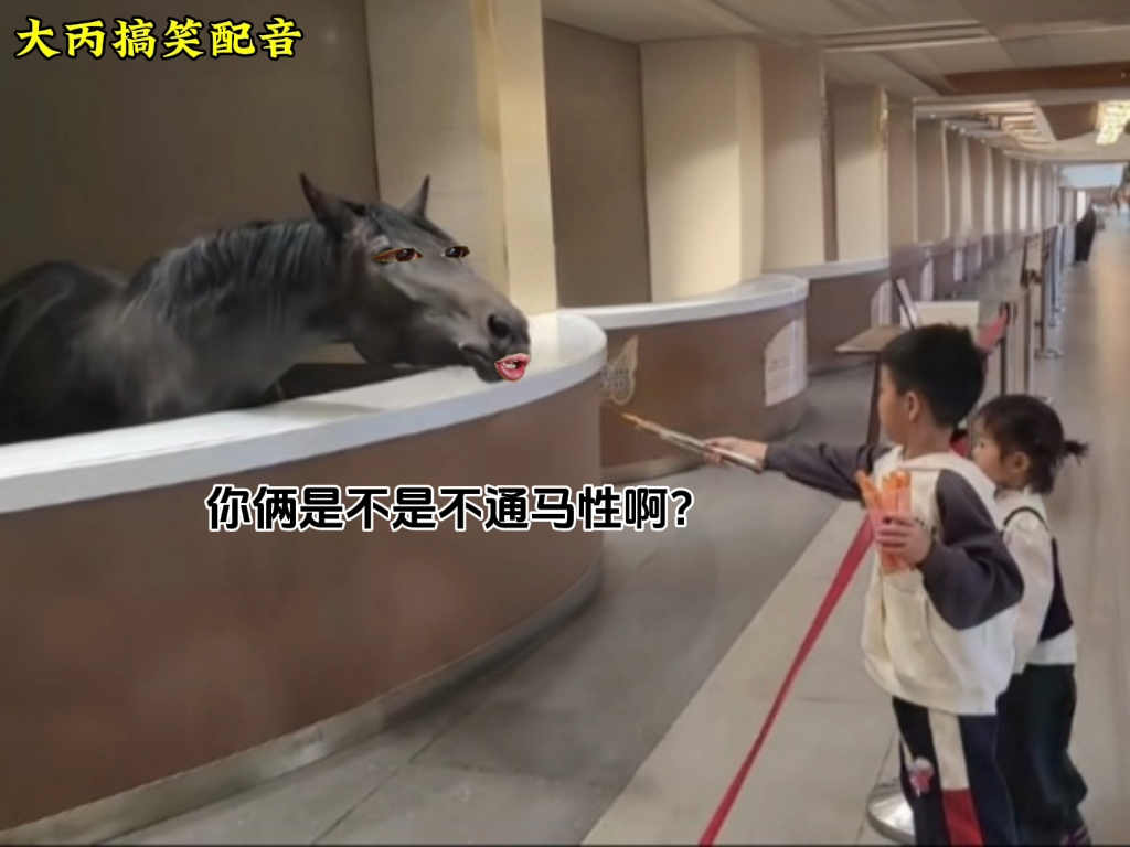 马：行了，你俩玩去吧