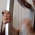 小豎琴入門課-1 how to play harp-1