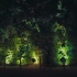 灯光艺术 设计师灵感来源 下鴨神社 糺の森の光の祭 Art by teamLab