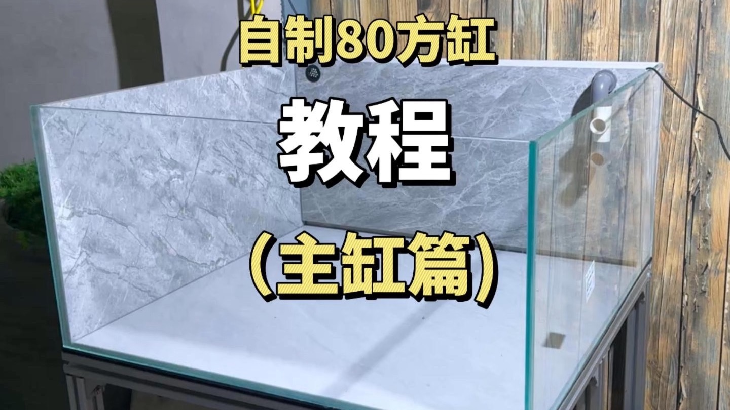 预算400元，自制一套80方缸，制作教程分享（主缸篇）