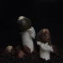 延时拍摄“雪裙仙子”破蛋生长过程   科幻奇妙的真菌界样本