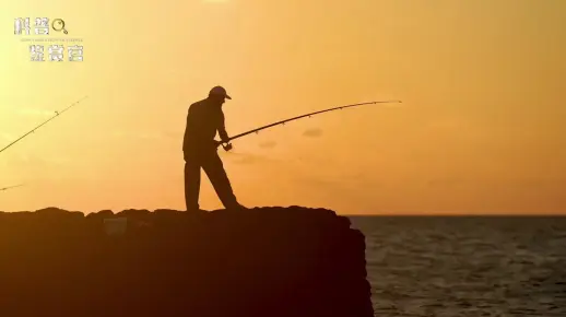 梦境之谜,为何梦见他人垂钓自己却难有所获? 梦境之谜,为何梦见他人垂钓自己却难有所获?