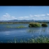 延庆野鸭湖湿地公园（索尼A7m3+28-70套头+手机延时+无人机航拍）
