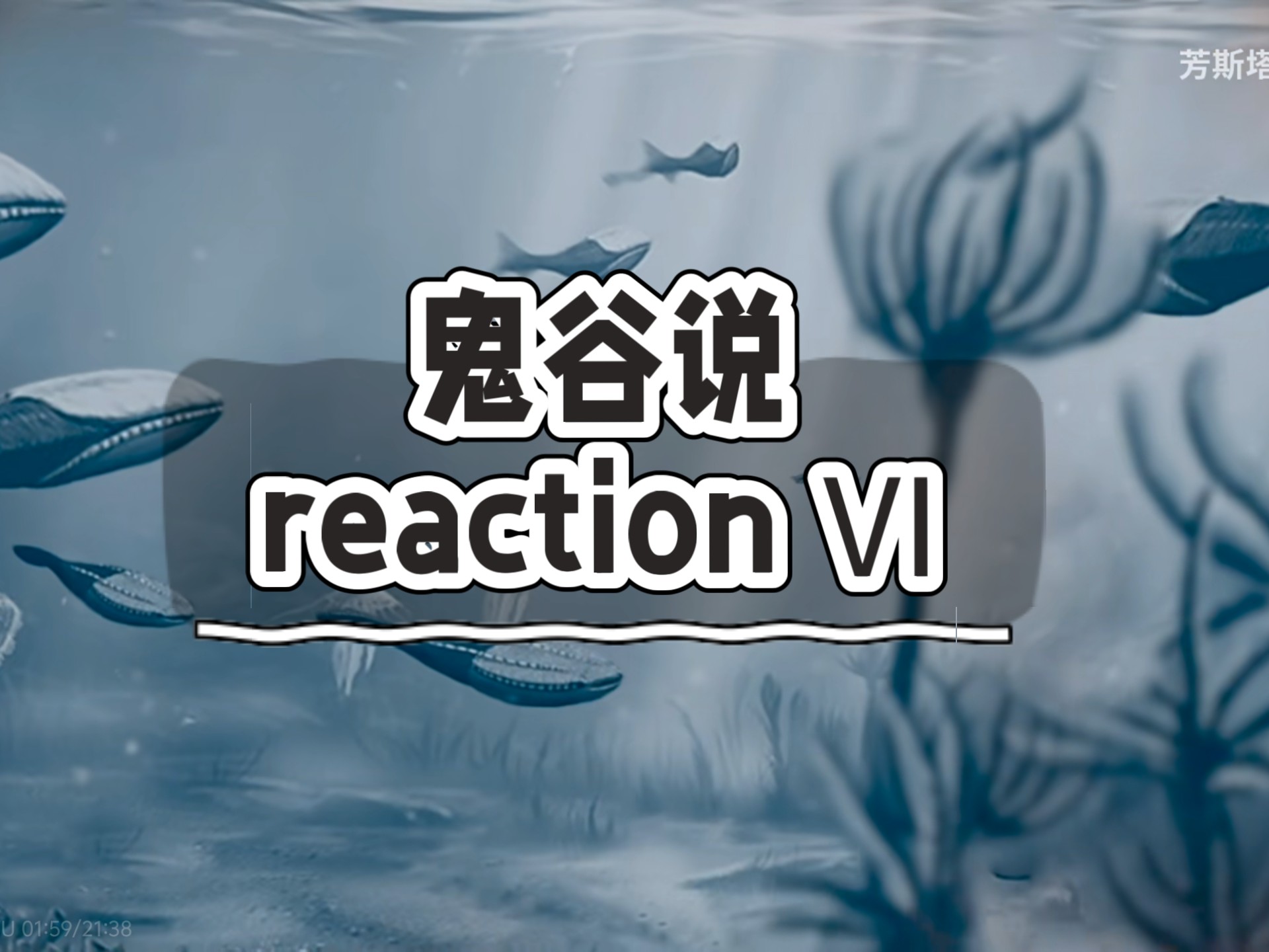 【鬼谷说reaction Ⅵ】再见老朋友——棘皮动物