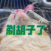洁癖兽医就喜欢给猫剃“胡子