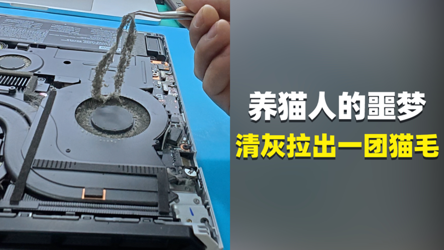 使用几个月的拯救者，一团猫毛组成了盘丝洞
