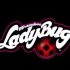 【美漫/预告】瓢虫少女 miraculous ladybug