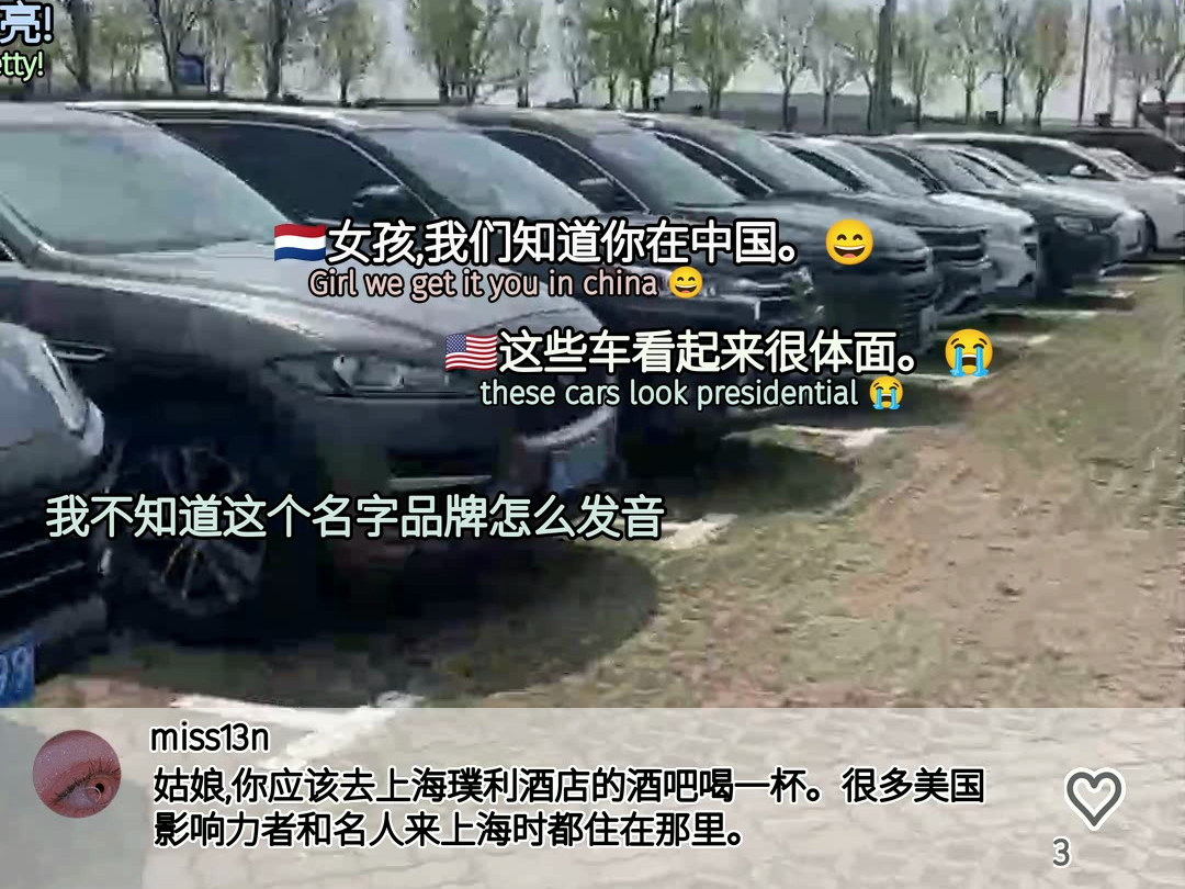 外国人看中国停车场的各色车辆 欧美人自己的意林 评论区大儒辩经  评论翻译  彩色弹幕化