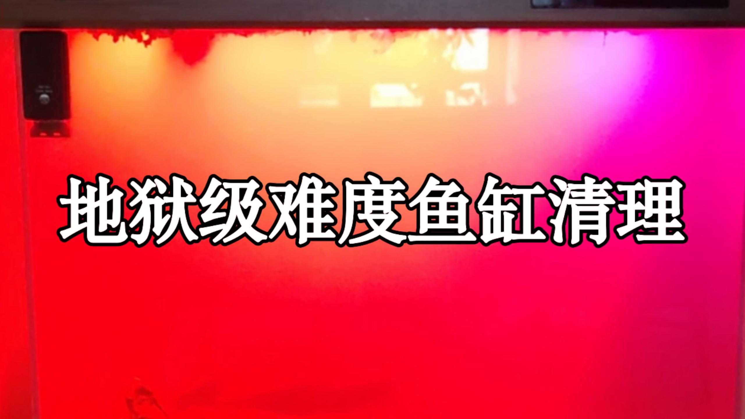 客户房子没时间住里面养的鱼全融化了找我过来上门清理