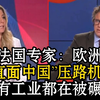 法国专家：中国不再是对手，而是碾碎欧洲工业的压路机😅欧洲欲对华加征30%关税，德国未战先退：别惹中国