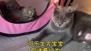 0e6da4fc6868b8442d6dd09309ab3eea2e16cb33.jpg@310w_174h_1c_100q.jpg