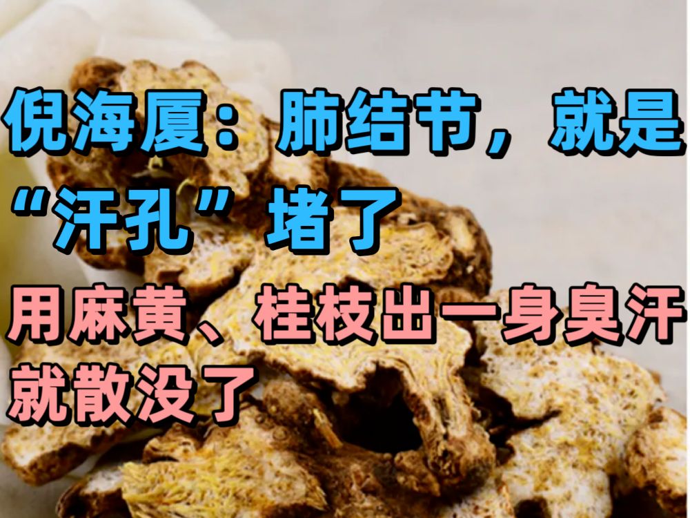 字幕下载
