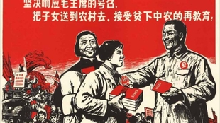0e96b787bb2a22f87c46eee6a8d51908f370e27e.jpg@310w_174h_1c_100q.jpg